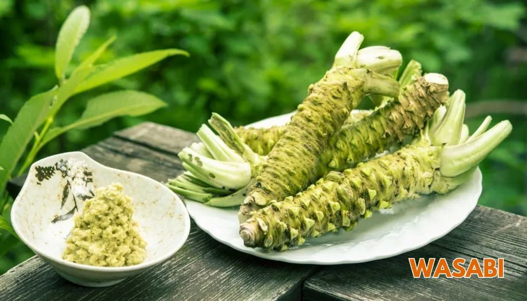 Wasabi & Japanese Rice